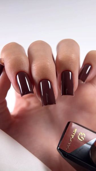 Гель лак без ТРО Steffani Color Gel polish №63, 9мл 28779 фото